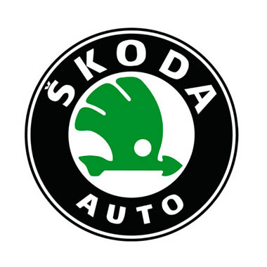 Ремонт Skoda в Одинцово