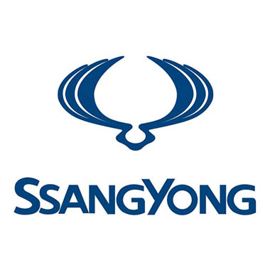 Ремонт SsangYong в Одинцово по низким ценам